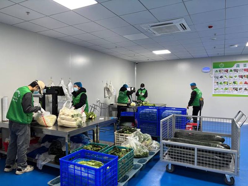 肉禽蛋批发：市场现状与发展趋势